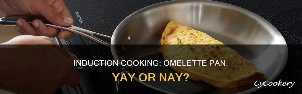 can you use omelette pan on induction cook top