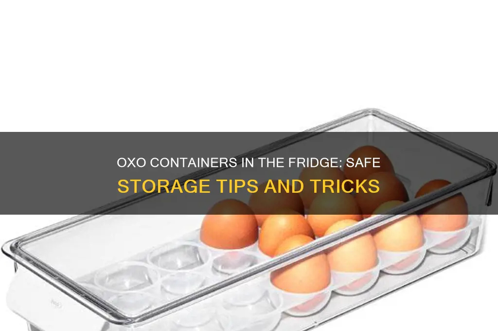 can you use oxo containers in the refrigerator