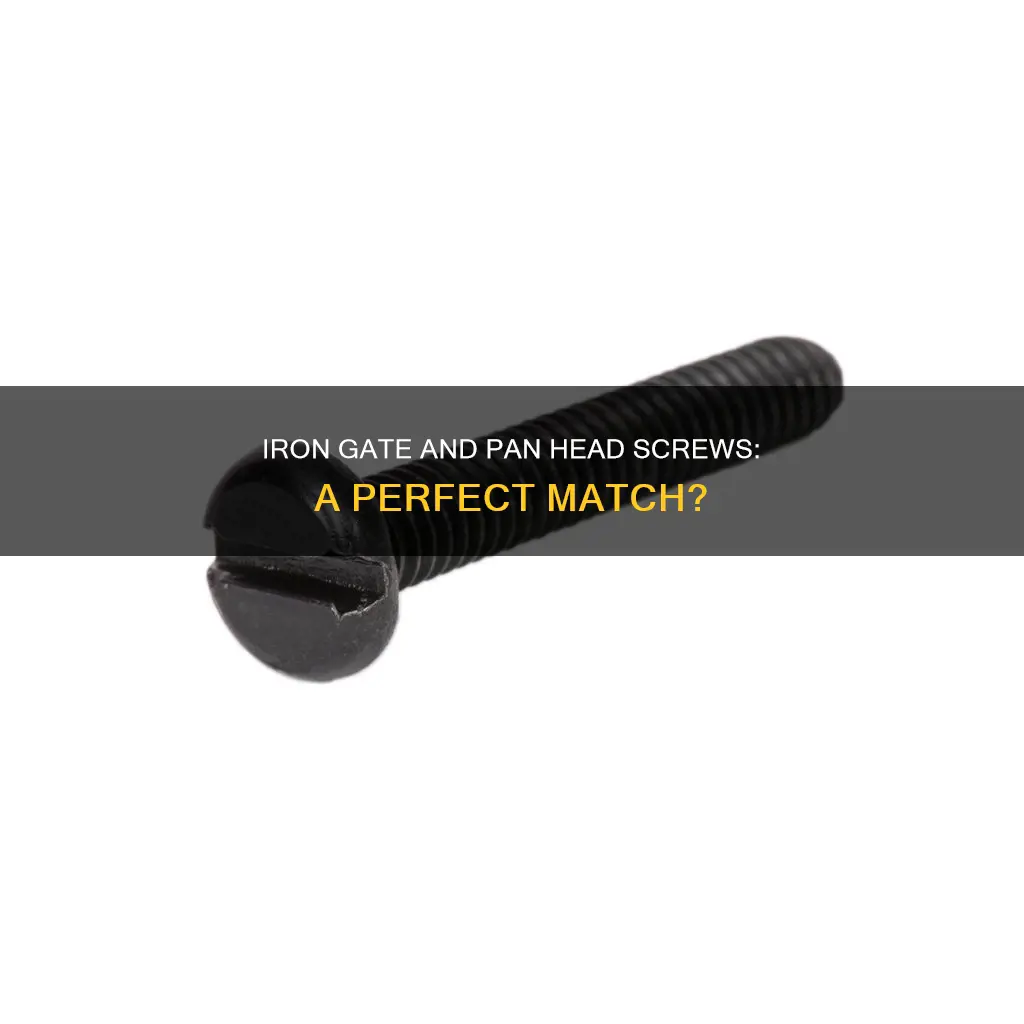 can you use pan head screws on a iron gate
