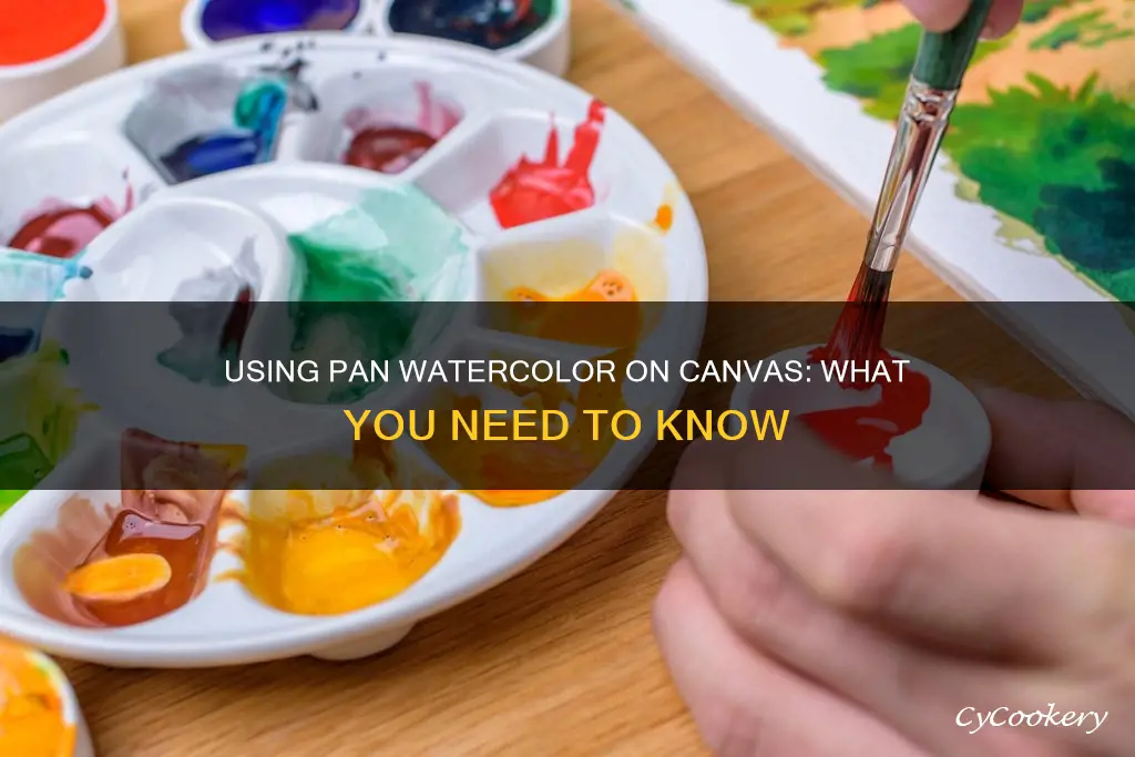 can you use pan watercolor on a canvas