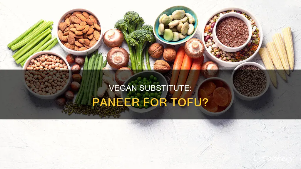can you use paneer instead of tofu
