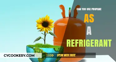 Exploring Propane as an Eco-Friendly Refrigerant Alternative: Pros and Cons