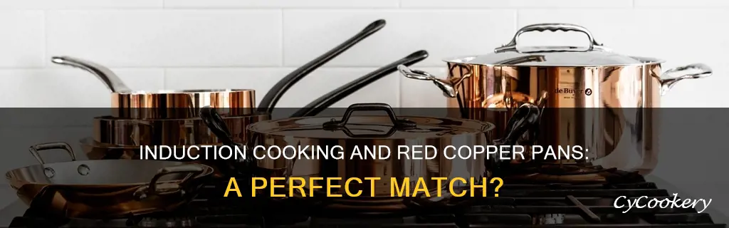 can you use red copper pan on induction cooktop