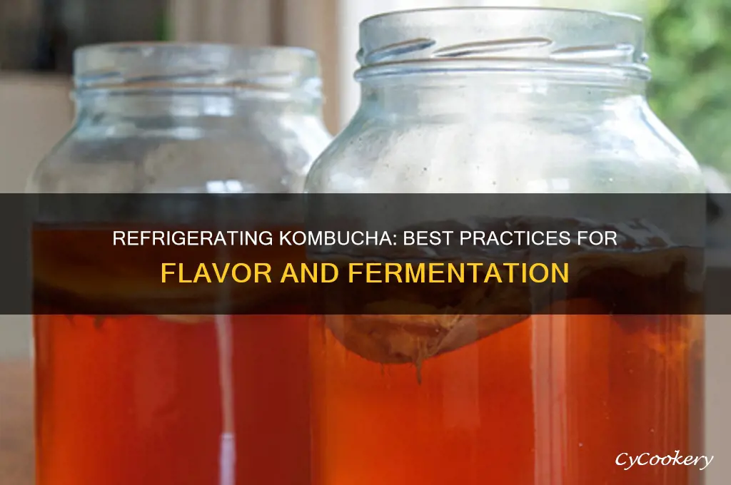 can you use refrigerate kombucha