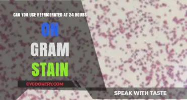 Using 24-Hour Refrigerated Samples for Gram Staining: Best Practices
