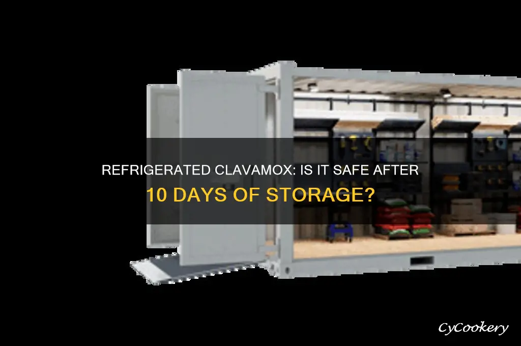 can you use refrigerated clavamox after 10 days