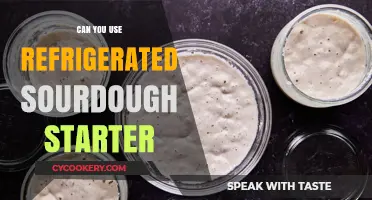 Using Refrigerated Sourdough Starter: Tips for Fresh, Active Baking