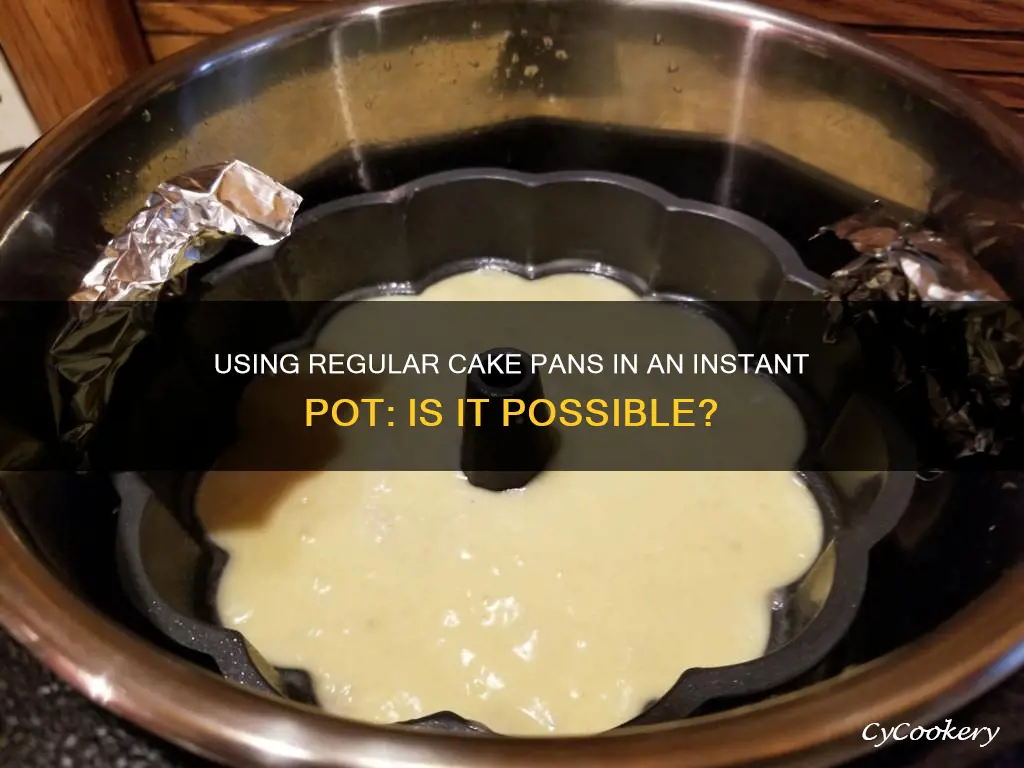 can you use reg cake pans in insta pot