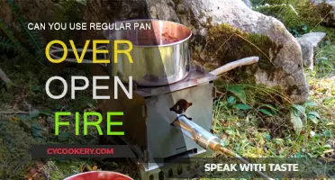 Open Fire Cooking: Can You Use Regular Pans?