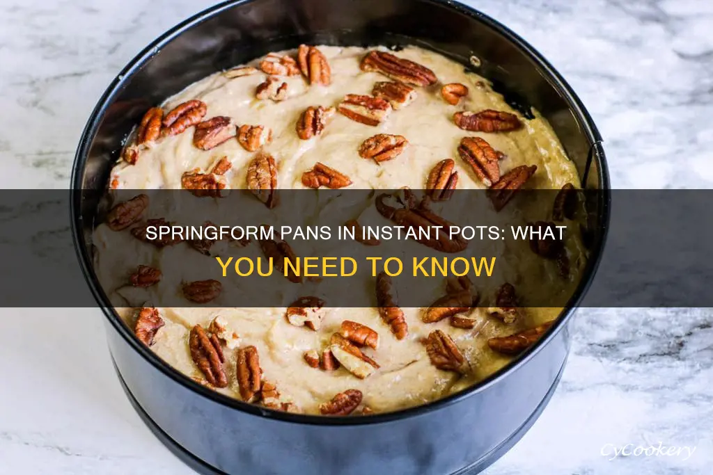 can you use regular springform pan in instant pot