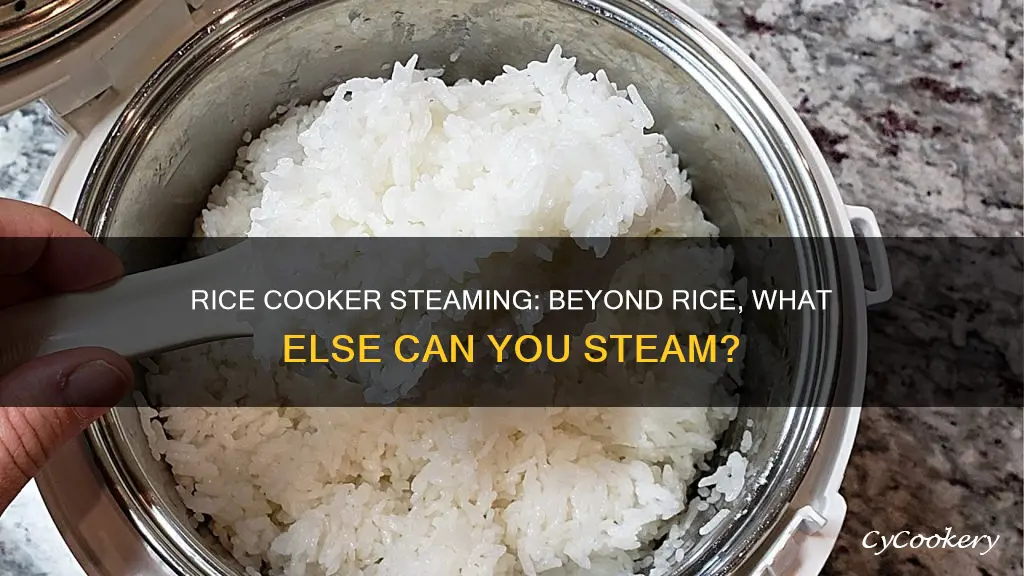 can you use rice cooker as steamer without rice