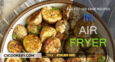 Air Fryer Recipes: Reuse and Revamp Your Favorites