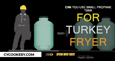 Propane Tank Turkey Frying: Safe or Not?