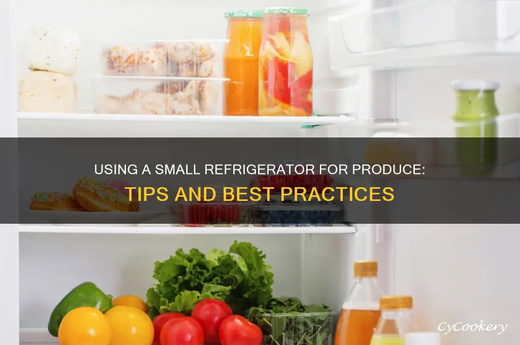 can you use small refrigerator for produce