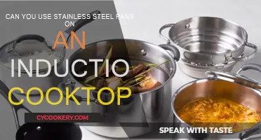Stainless Steel Pans: Compatible with Induction Cooktops?