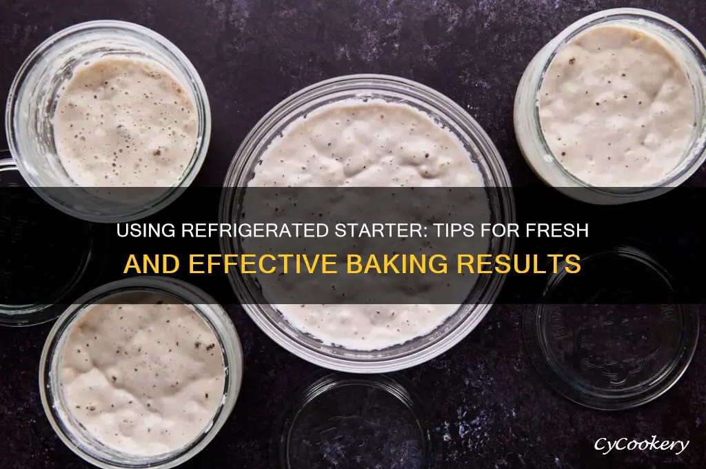 can you use starter from refrigerator