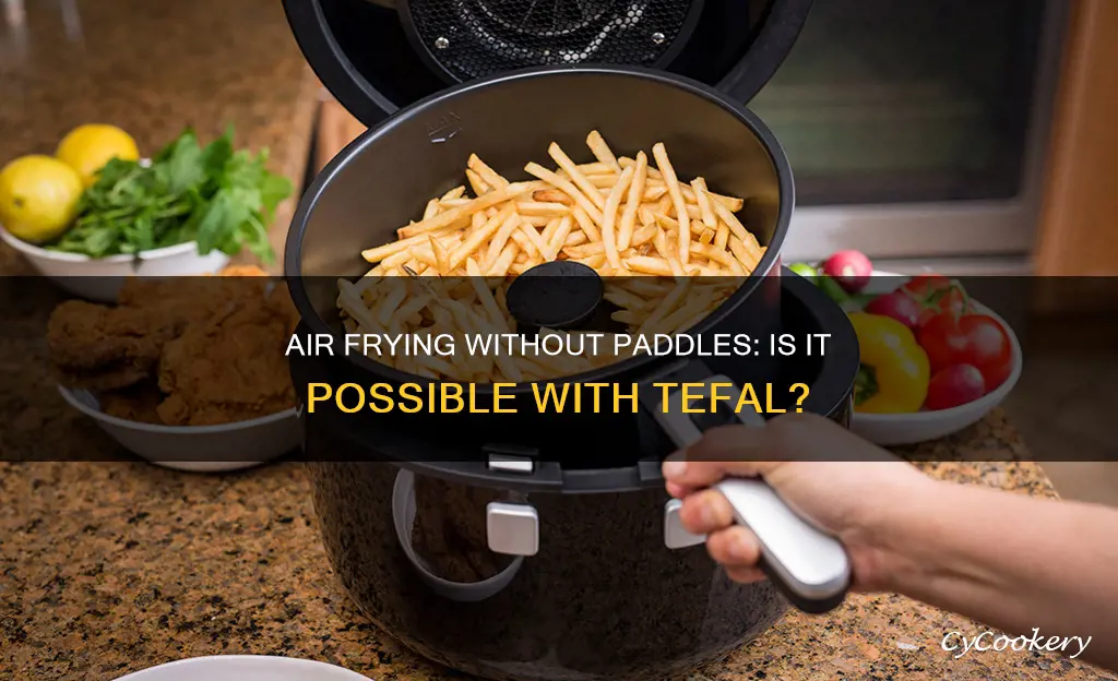 can you use tefal air fryer without paddle