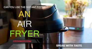 Instant Pot Air Fryer: What You Need to Know