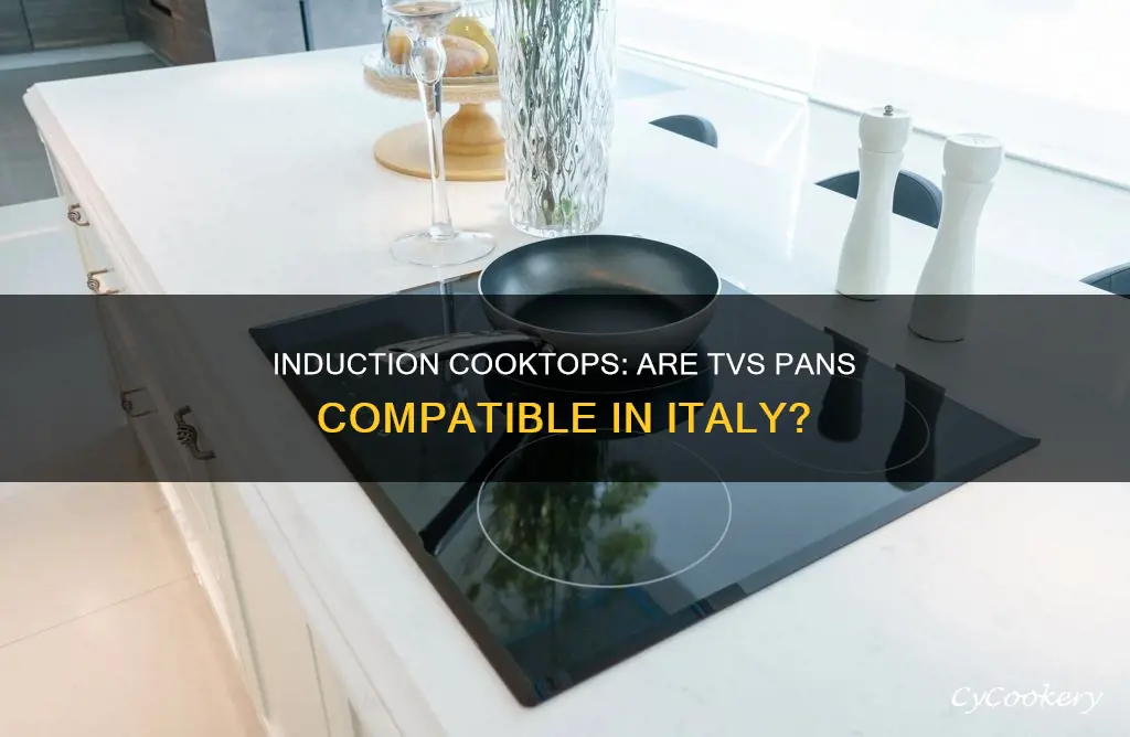can you use tvs pans italy on a induction cooktop