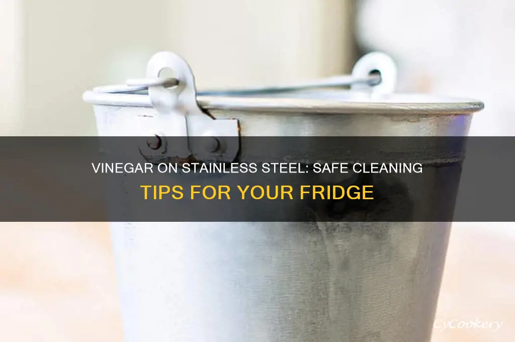can you use vinega on stainless steel refrigerator