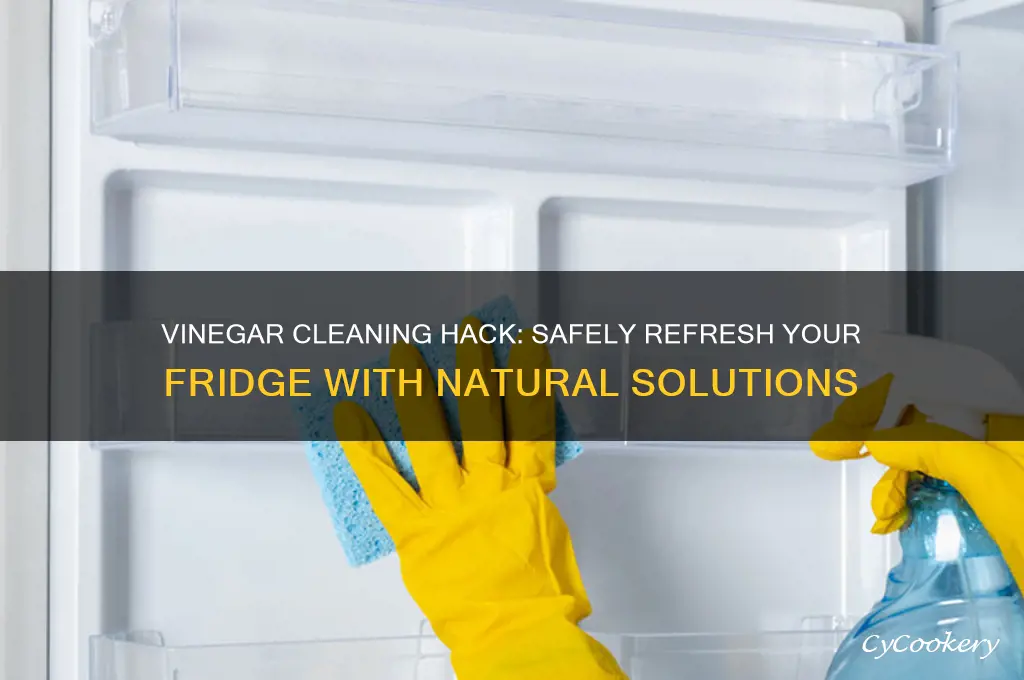 can you use vinegar to clean refrigerator