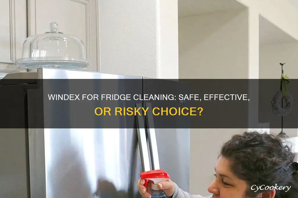 can you use windex to clean refrigerator
