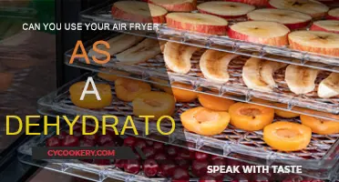 Air Fryer Dehydrator: Is It Possible?