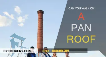 Walking on Pan Roofs: Is It Safe?