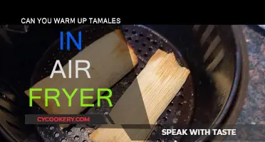 Air Fryer Tamales: Warming Up a Delicious Treat