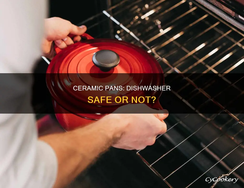 can you wash ceramic pans in the dishwasher
