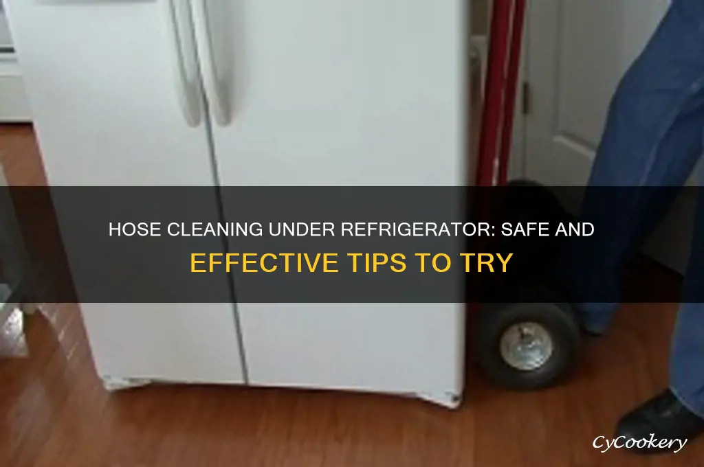 can you wash under refrigerator with hose