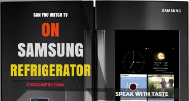 Can You Stream TV on Samsung Smart Refrigerators? Find Out Here!
