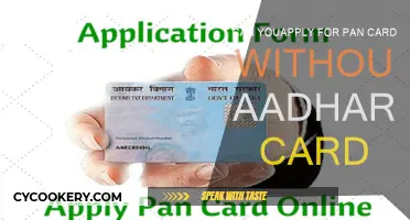 How to Apply for a PAN Card Without an Aadhaar Card?