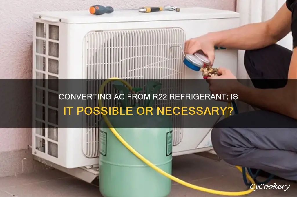 can your air conditioner be converted from r22 refrigerant
