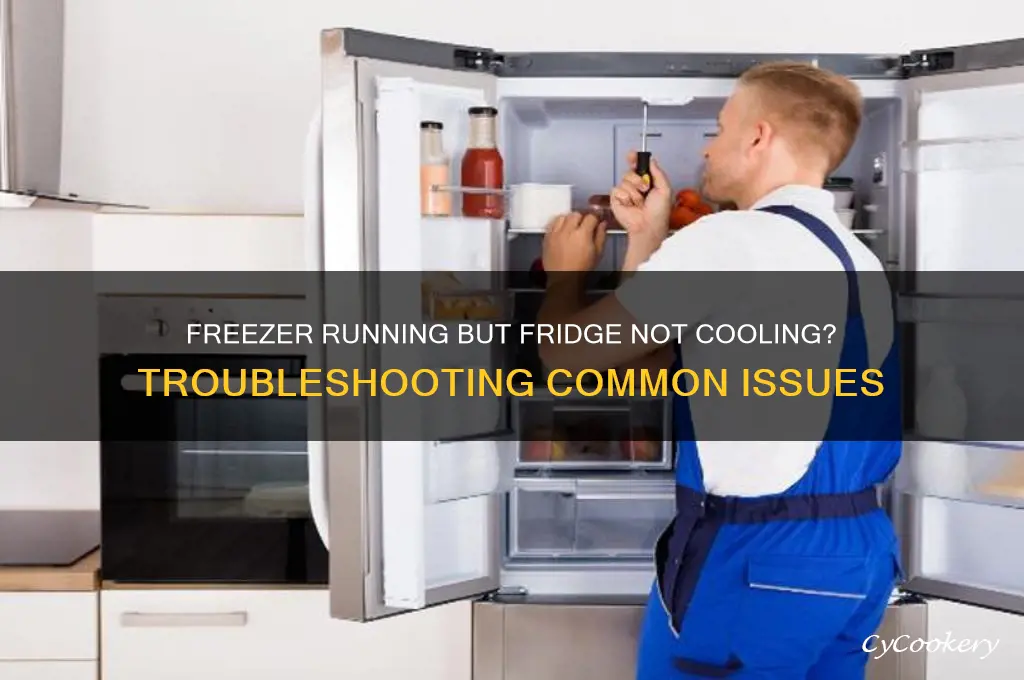 can your freezer work but not the refrigerator