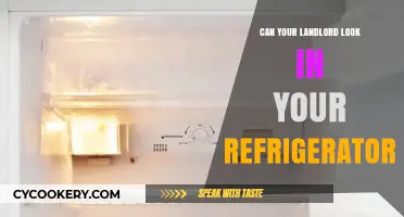 Can Your Landlord Inspect Your Fridge? Privacy Rights Explained