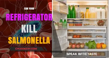 Can Your Fridge Kill Salmonella? The Truth About Food Safety