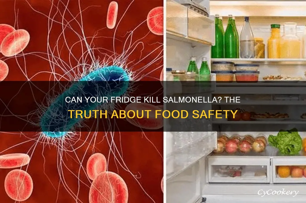 can your refrigerator kill salmonella