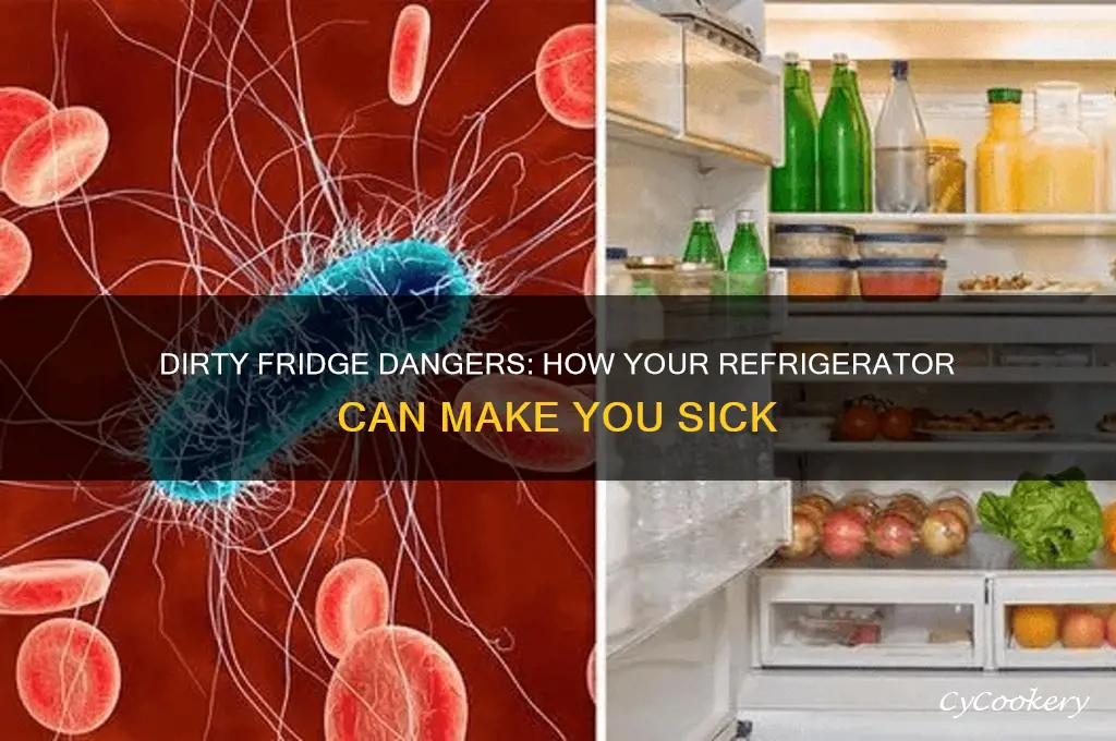 can your refrigerator make you sick