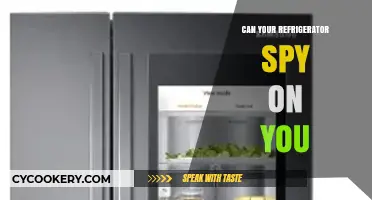 Is Your Fridge Watching? Smart Appliances and Privacy Concerns
