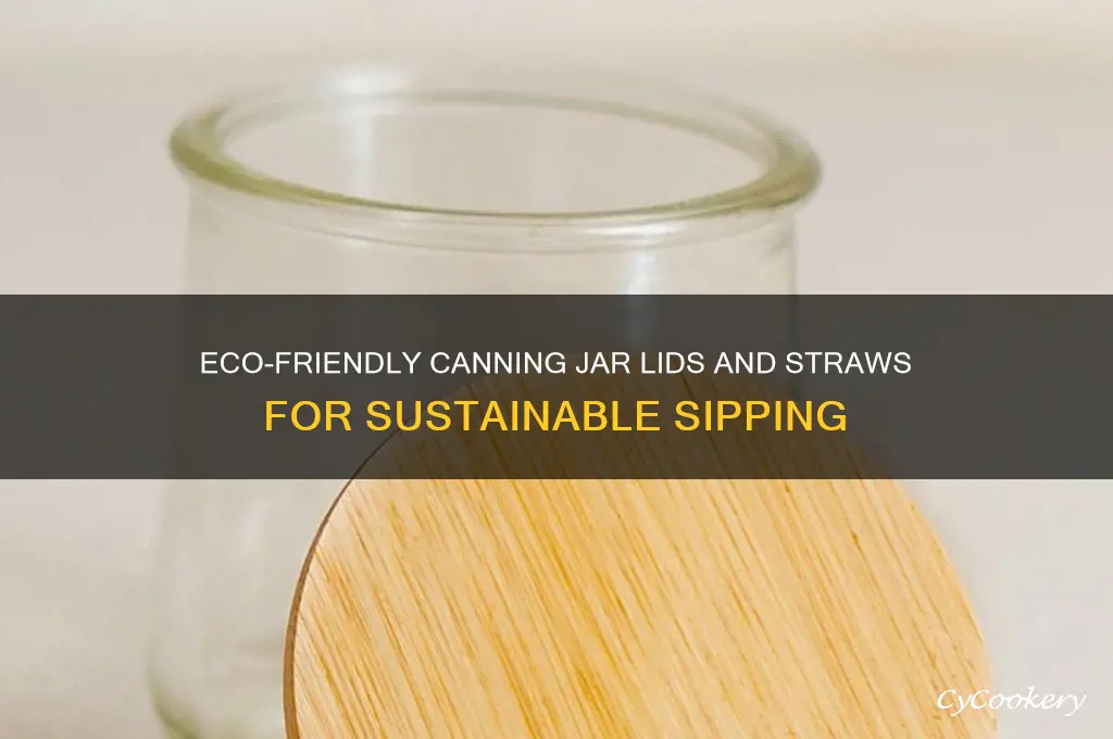 canning jar drink lids and straws