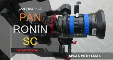 Mastering Pan Ronin SC: Achieving Perfect Balance