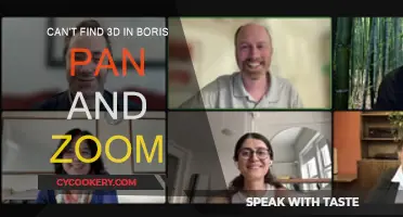 Where's the 3D in Boris? Pan and Zoom Problems