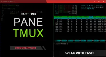 Tmux Troubleshooting: Lost Pane? Try These Quick Fixes