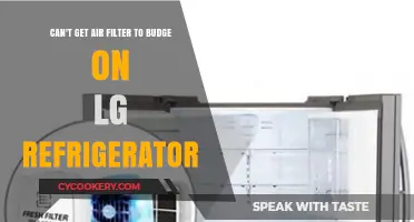 Stuck Air Filter: Troubleshooting Tips for Your LG Refrigerator