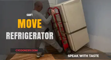 Stuck Fridge? Tips to Safely Move Your Refrigerator Without Damage