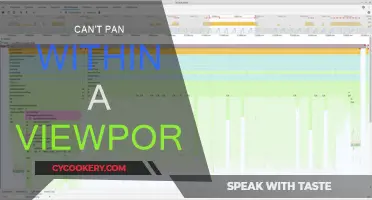 Pan Viewport Problems: Troubleshooting Can't Pan Issues