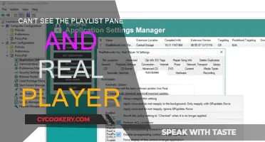 How to Fix Real Player's Missing Playlist Pane