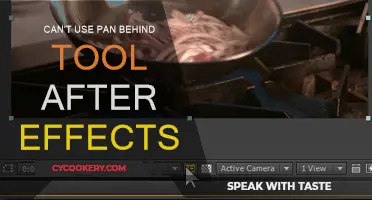 Troubleshooting the 'Can't Use Pan Behind Tool' in After Effects