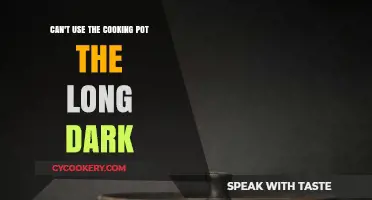 How to Survive Without a Cooking Pot in The Long Dark